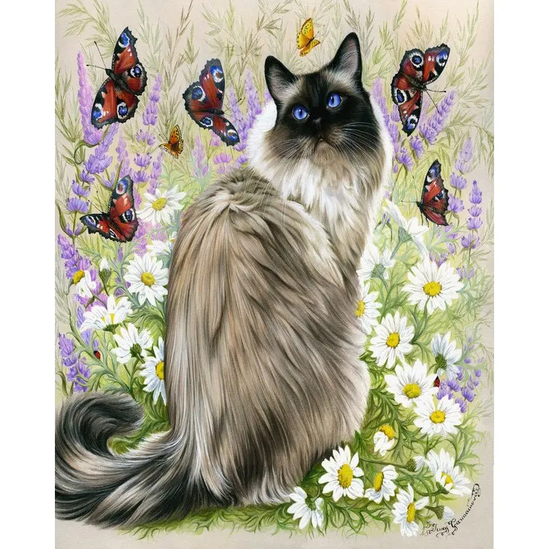 Discovery of butterflies