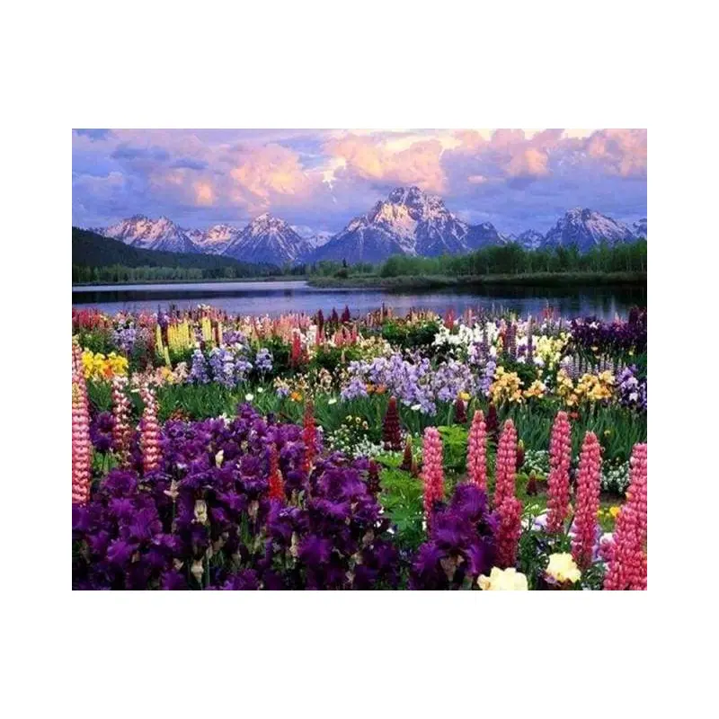 Flowers and Lake near the Mountain
