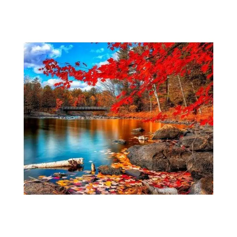 River and Autumn Forest