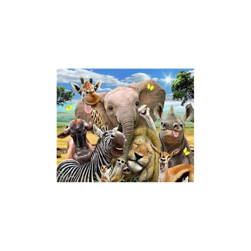 African Animals