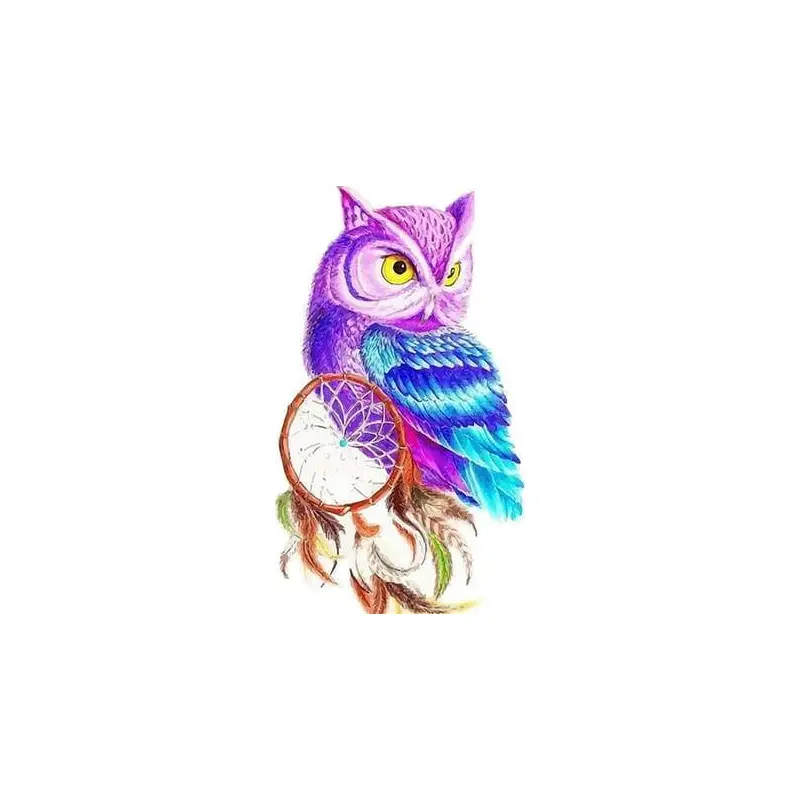 Owl in Color