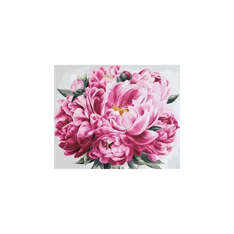 Pink Peony