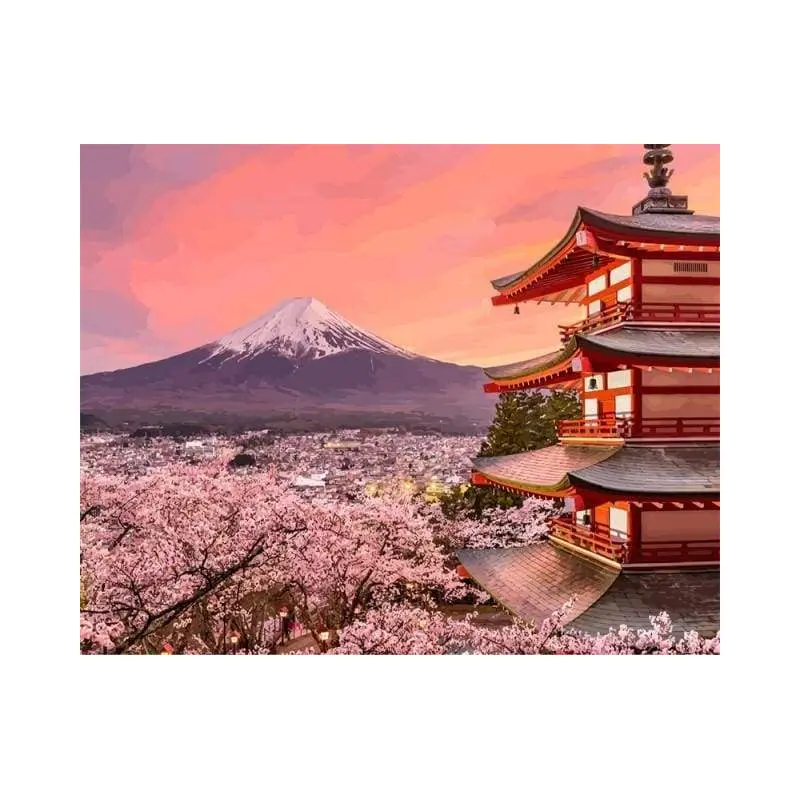 Fuji Cherry Blossoms in Spring