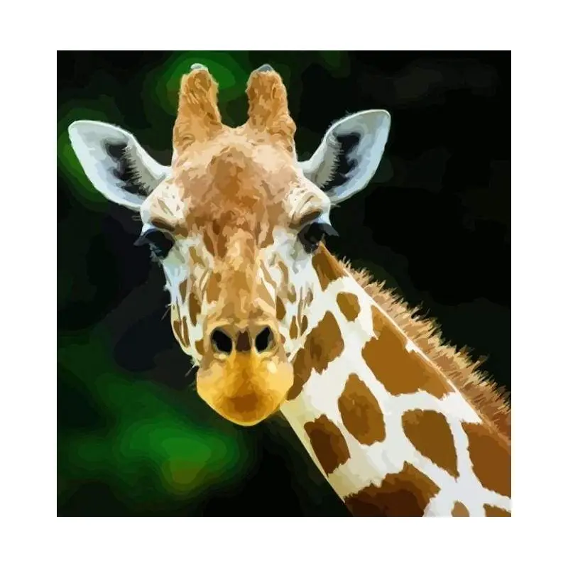 Head And Neck Giraffe