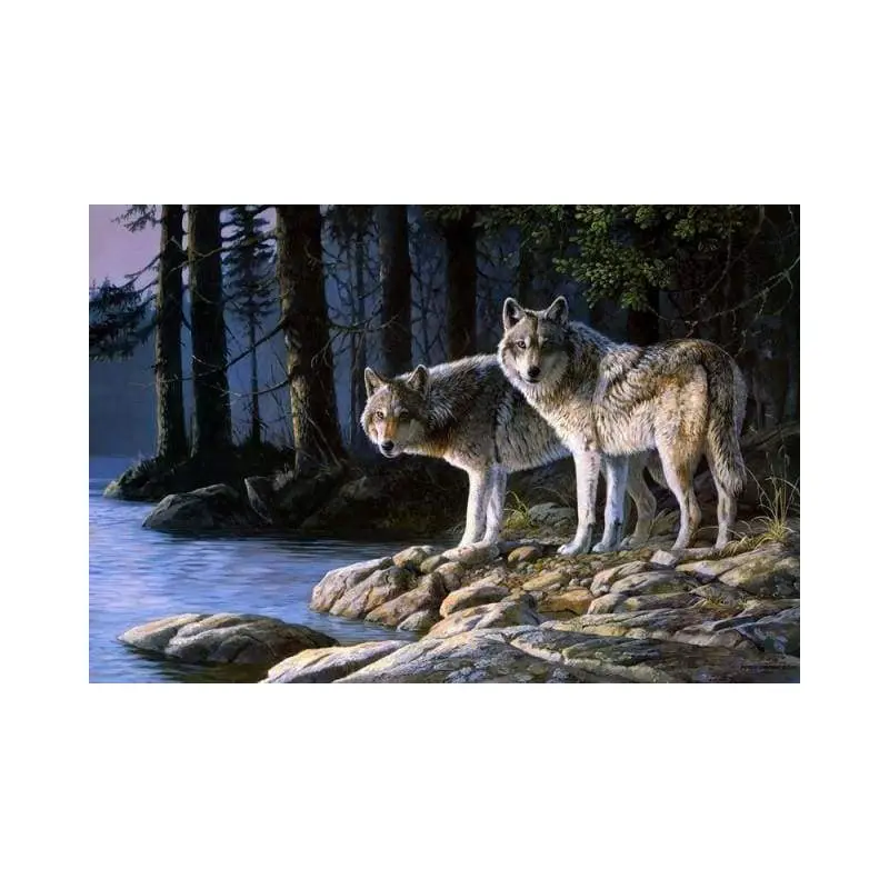 Wolves in the Forest