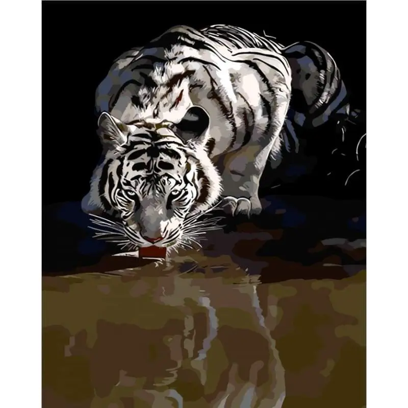 Tiger Reflection