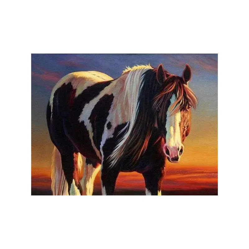 Horse Black And White