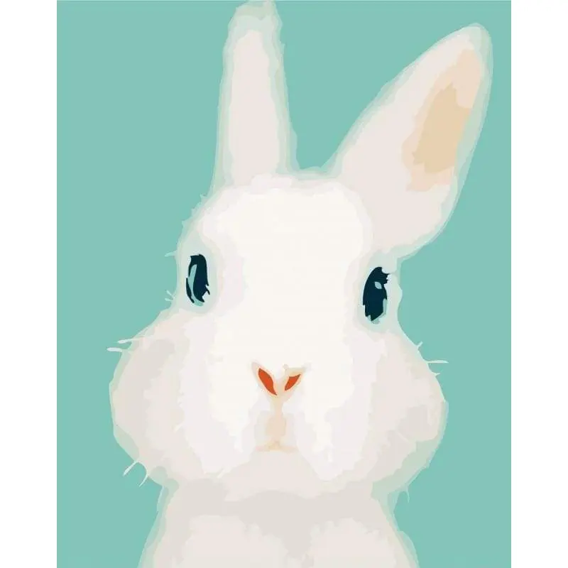 Quiet Rabbit