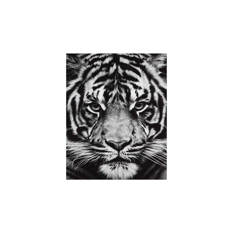 Tiger Head Black And White