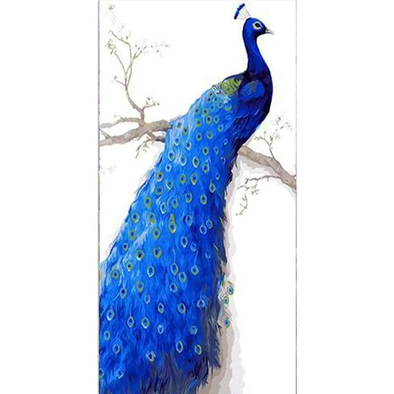 Deep Blue Peacock
