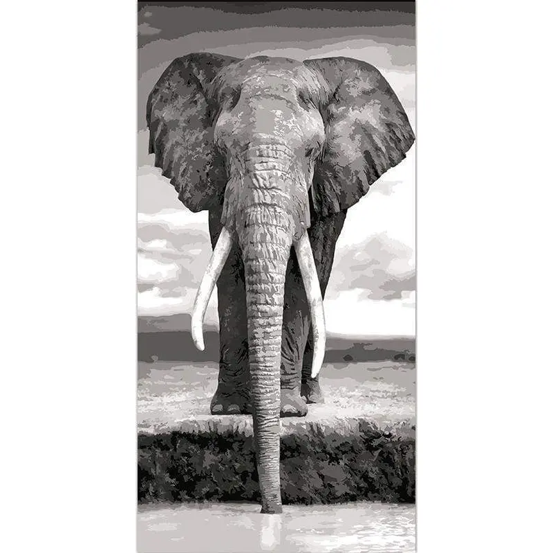 Grey Elephant
