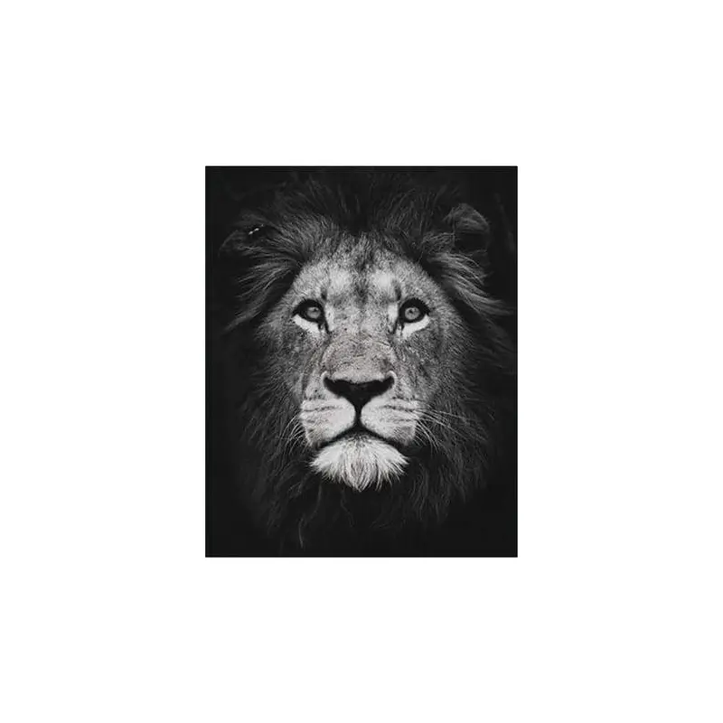 Lion Head Black And White