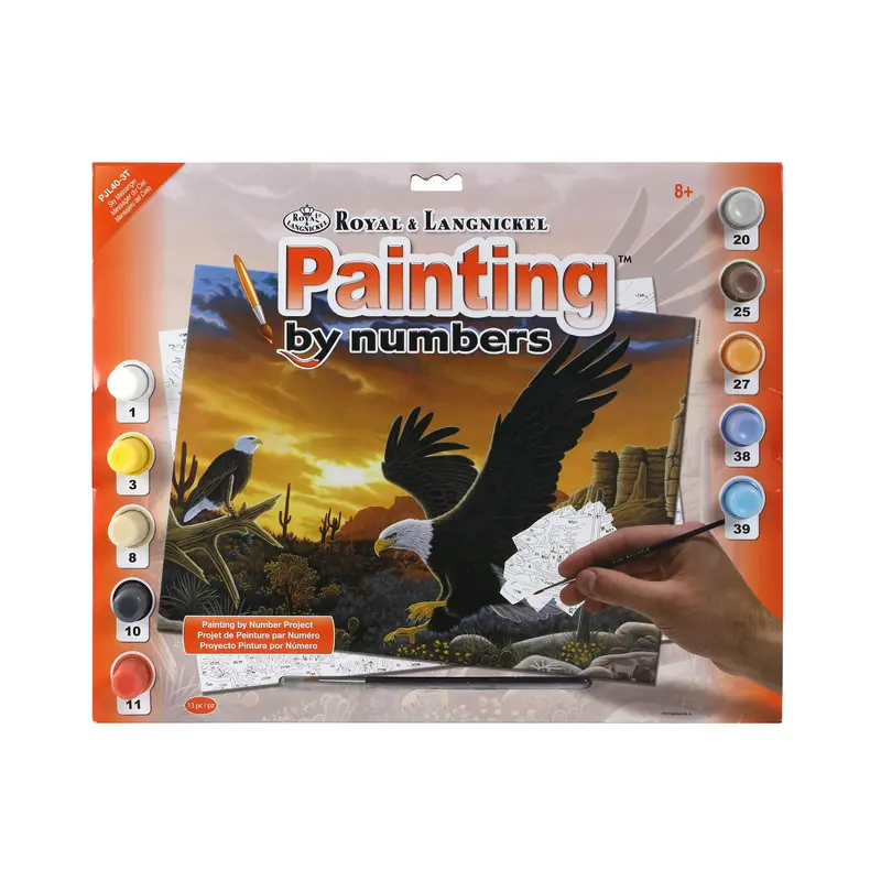 Paint by Numbers - Sky Messenger