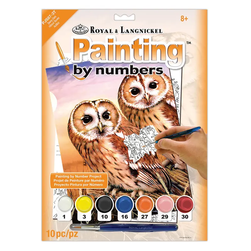 Paint by Numbers  Tawny Owls