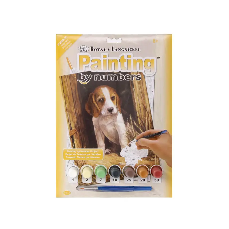 Painting by Numbers  Beagle Puppy
