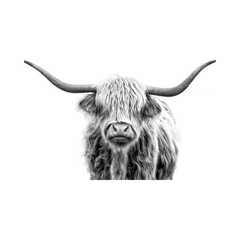 Yak