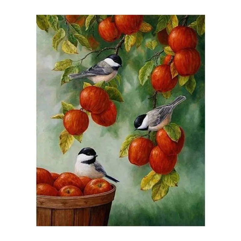 Birds On Red Apples