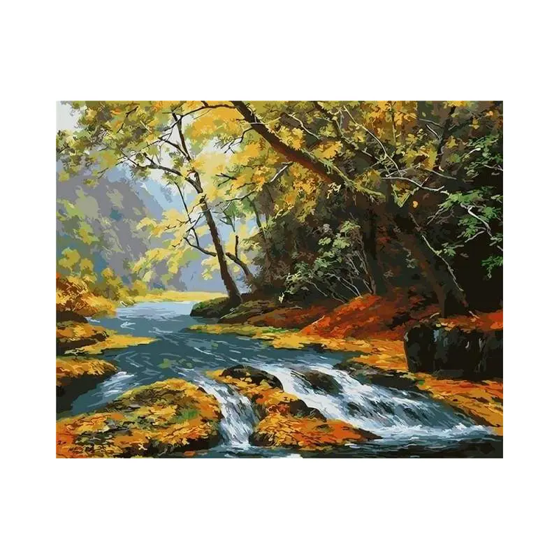 Clear River in the Forest