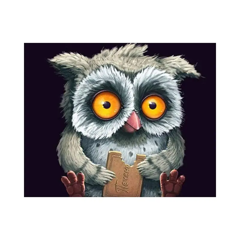 Owl with a cookie