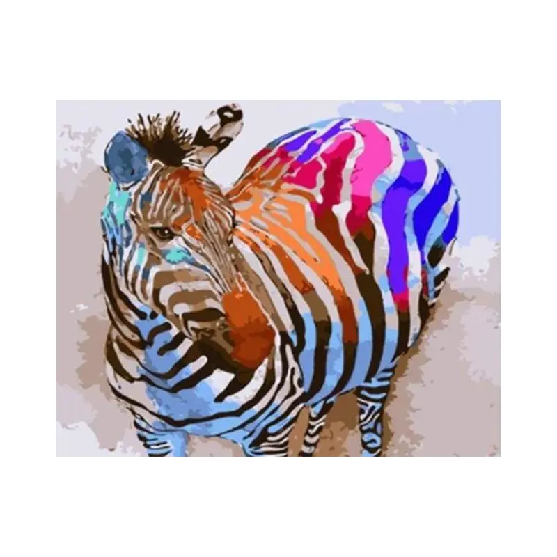 Rainbow Zebra