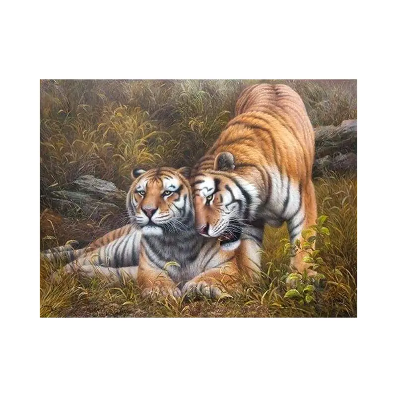 Loving Tigers