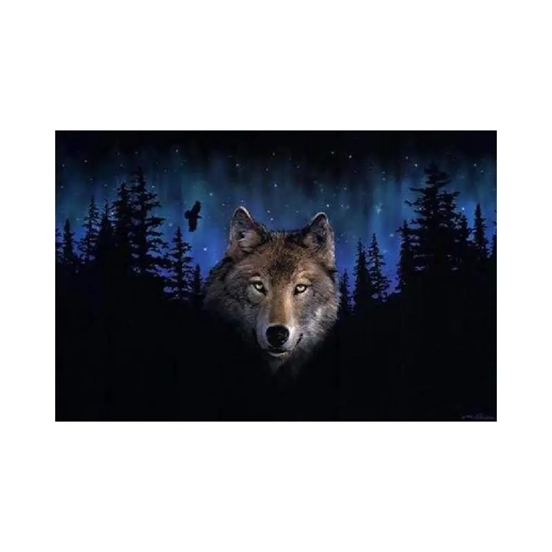 Wolf at Night