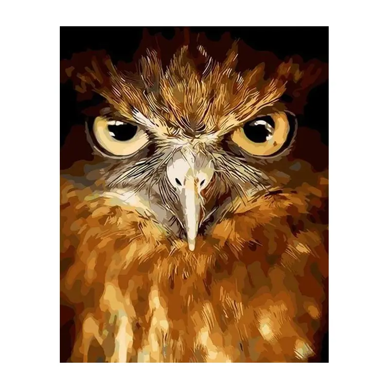 Piercing eyes Hawk