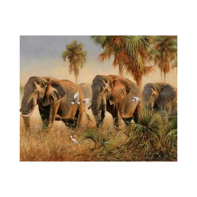 Wild elephants