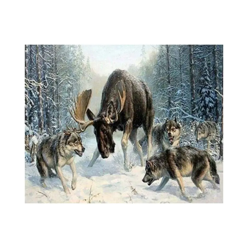 Elan surrounded by a pack of wolves