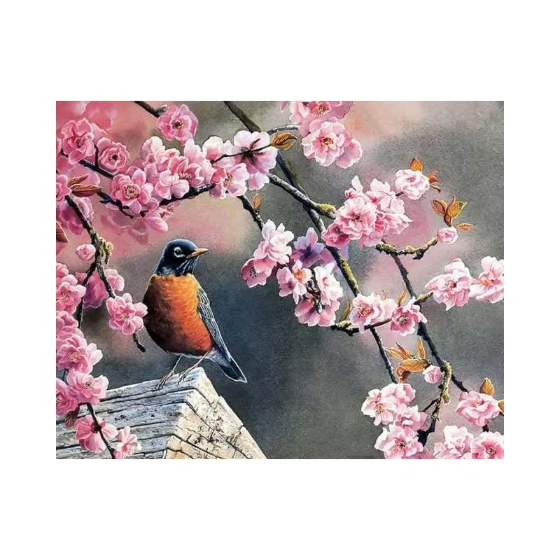 European Robin in Spring