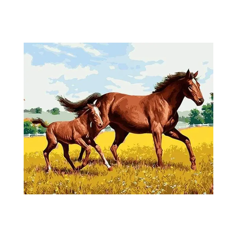 Horse and Foal in the field