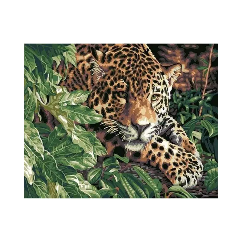 Leopard on the lookout