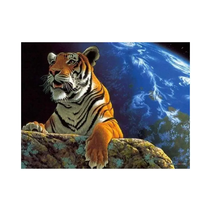 Tiger and earth