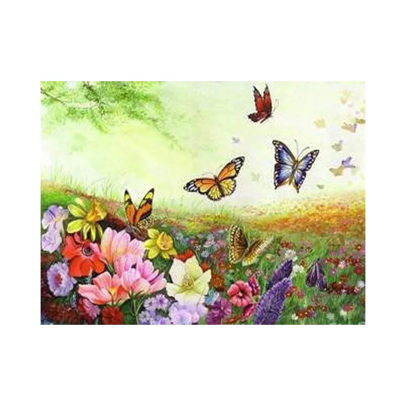 Butterflies and Flowers