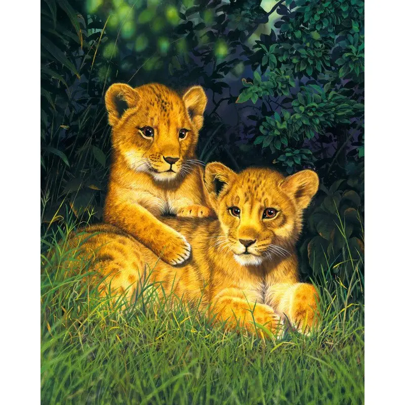 Lion cubs