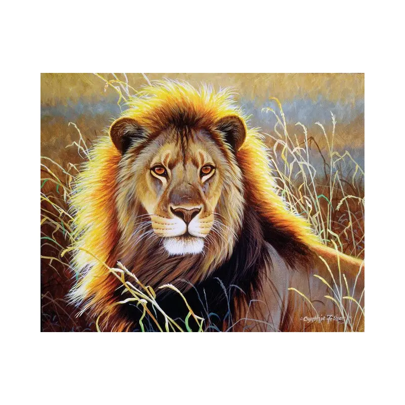 Lion in the savannah