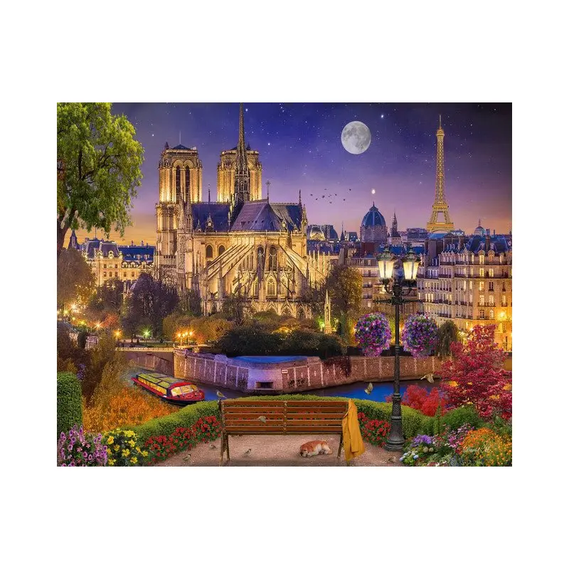 Notre-Dame and Eiffel Tower at night