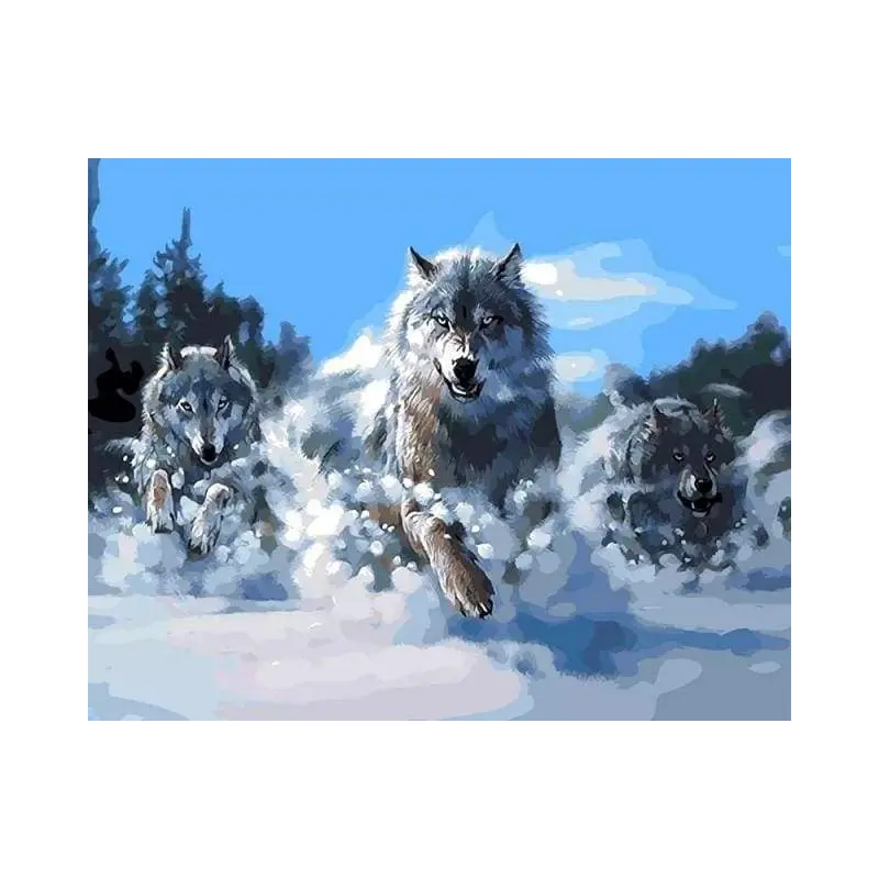 Pack of Wolves in the Snow