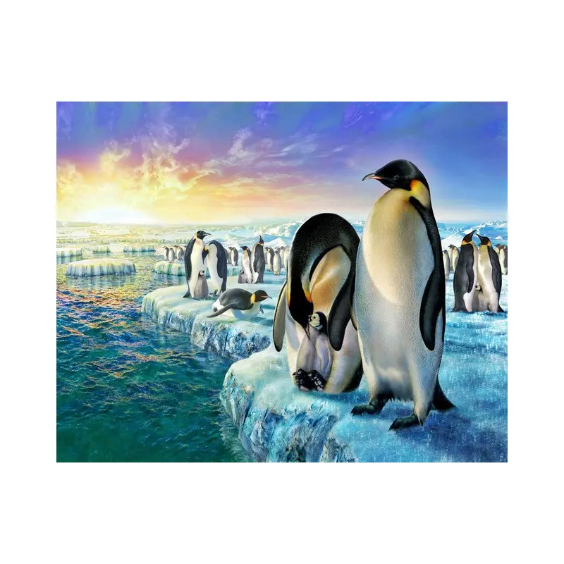 Penguins on the ice floe