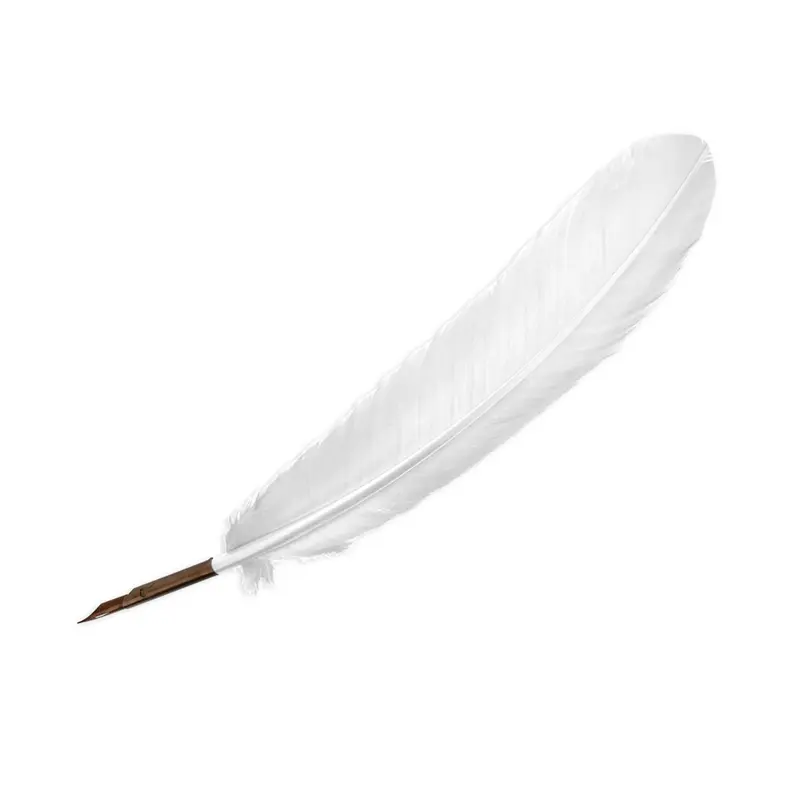 Quill Pen  Ivory