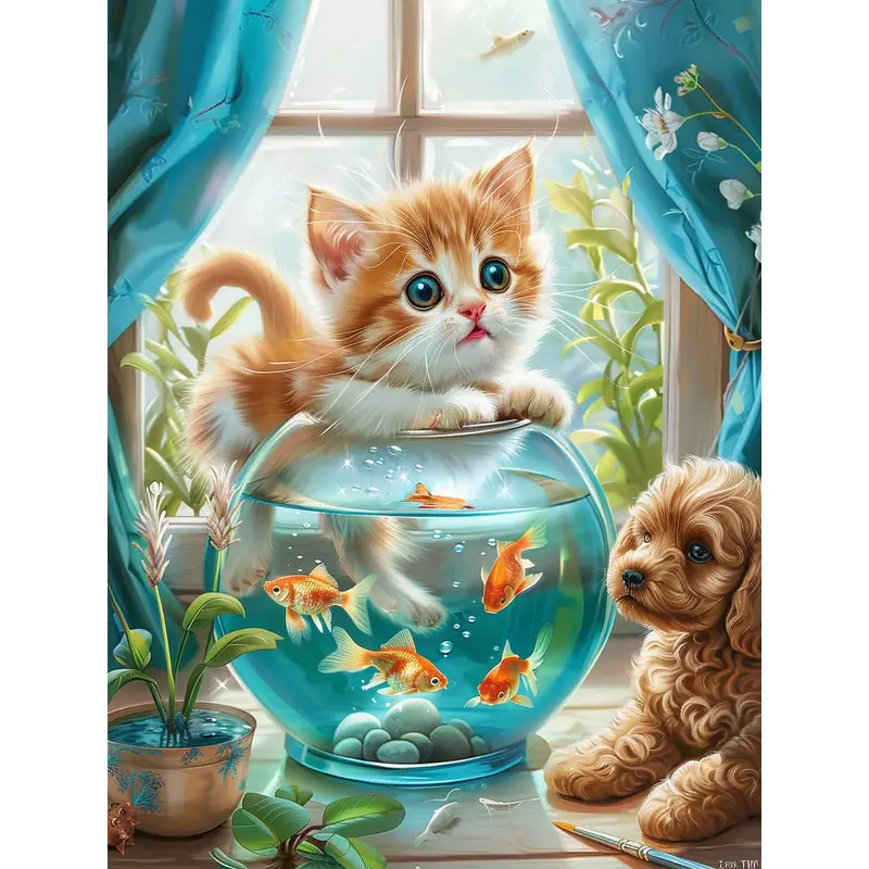 Window Light Wonders