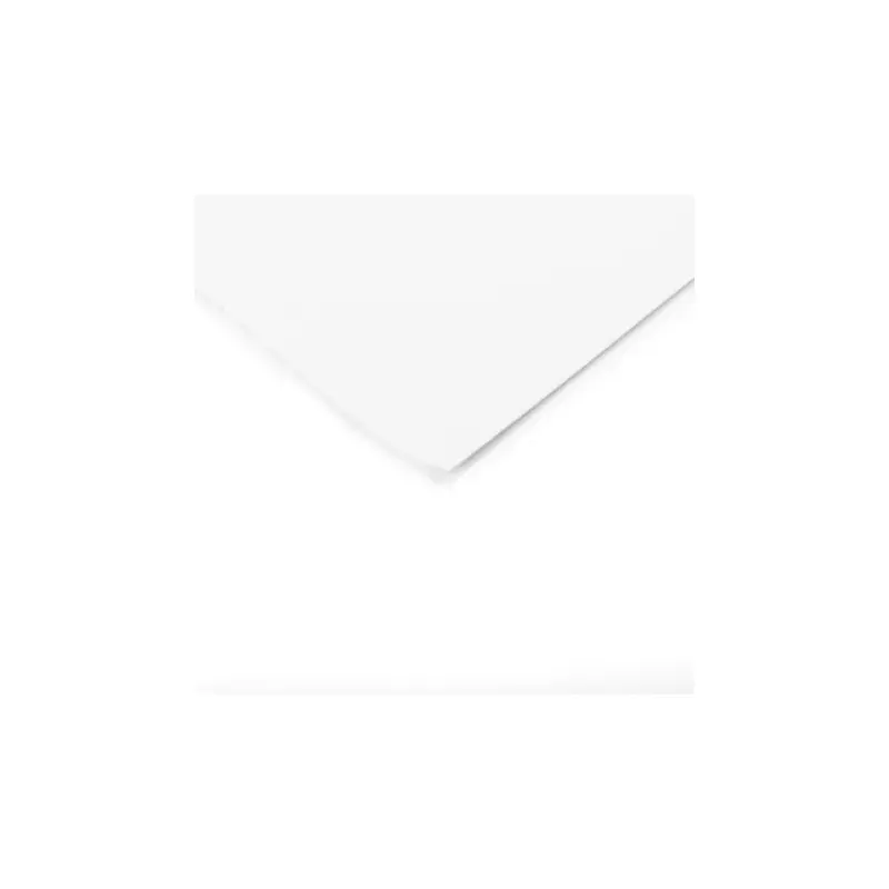 Canson Edition White Artist Sheet