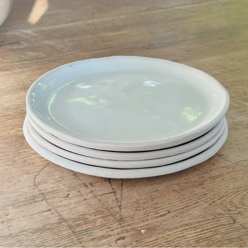 Set of 4 Porcelain Dinner Plates