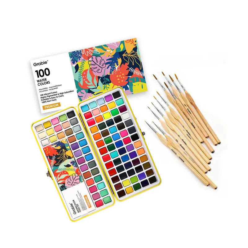 Watercolor Set of 100 With 11 Pcs Miniature Detail Paint Brushes