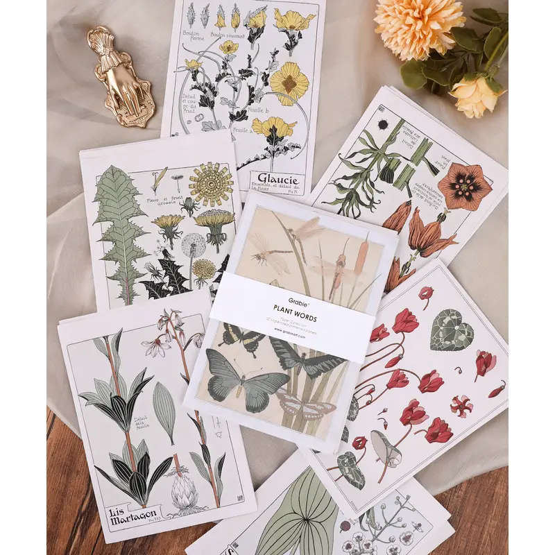 30 Sheets Plant Words Paper Set
