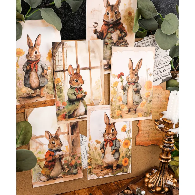 Grabie Exclusive 6 Pack Postcards With 6 Matching Envelopes