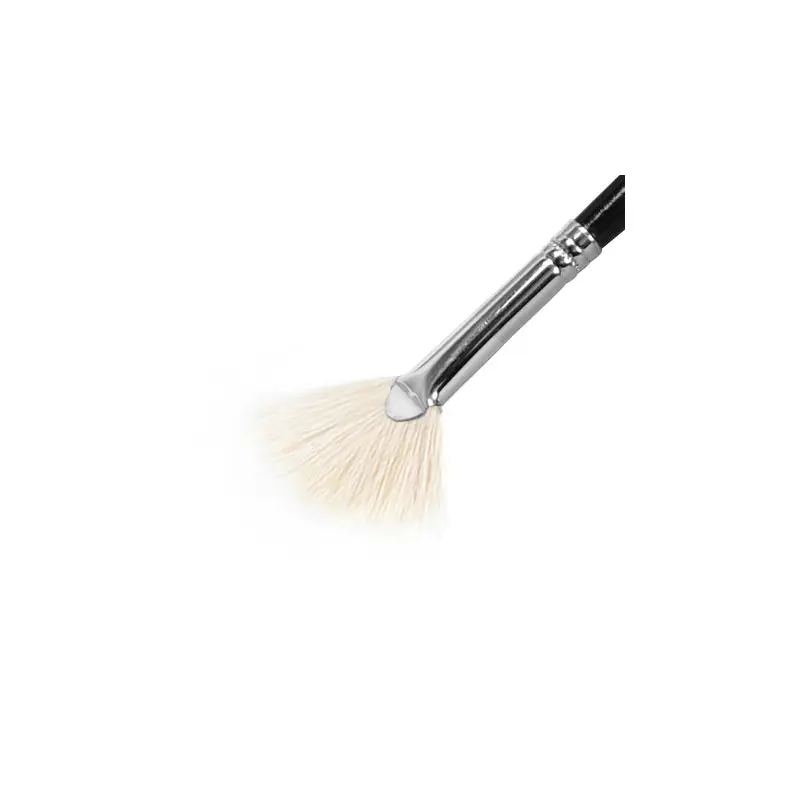 Fan paintbrush with white bristles