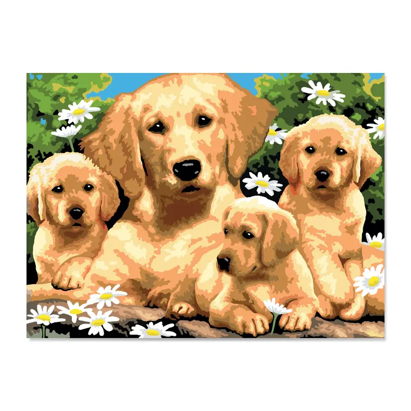 Junior Paint by Number  Golden Retrievers