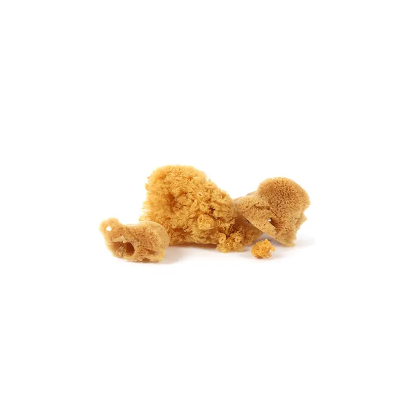 Set of 3 silk sponges