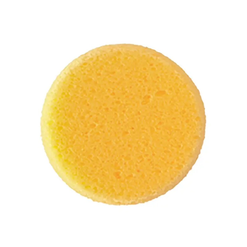 Hydra Synthetic Sponge 2 1/2"